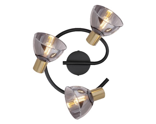 Потолочная люстра Jay 54305-3 Globo