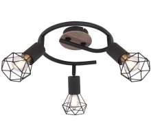 Потолочная люстра Xara I 54802S-3H Globo