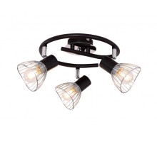 Спот Fassa 54815-3 Globo