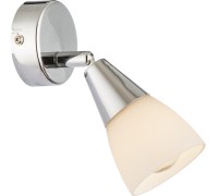 Спот Tadeus 54919-1 Globo