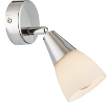 Спот Tadeus 54919-1 Globo