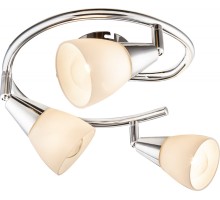 Спот Tadeus 54919-3 Globo