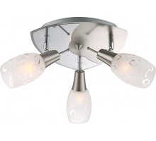 Спот Florita 54984-3 Globo