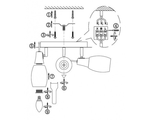 Спот Florita 54984-3 Globo