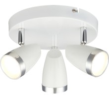 Спот Minou 56109-3 Globo