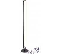 Торшер Toppole 58007SL Globo