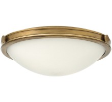 Потолочный светильник Collier HK-COLLIER-F-M Hinkley