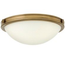 Потолочный светильник Collier HK-COLLIER-F-S Hinkley