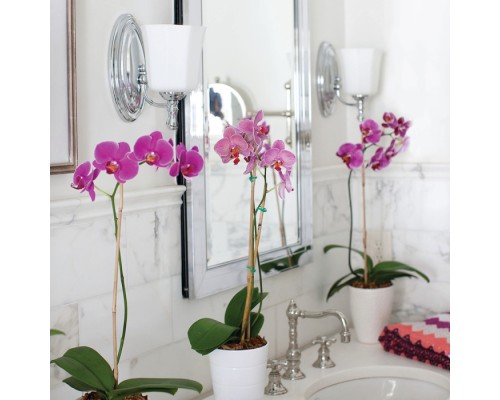 Бра Shelly HK-SHELLY1-BATH Hinkley