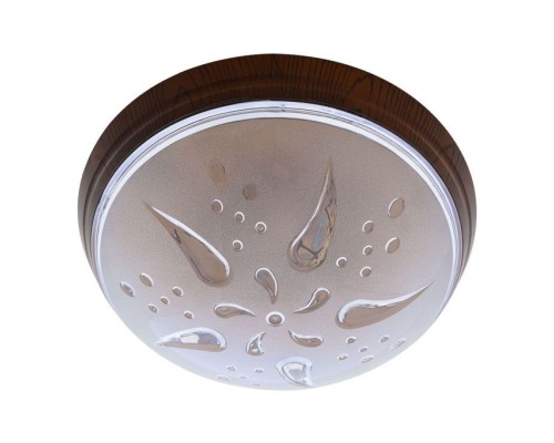 Потолочный светильник Уфо Роза Ветров 400-231-101 Horoz