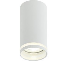 Потолочный светильник ESTELA IL.0005.2000 WH Imex