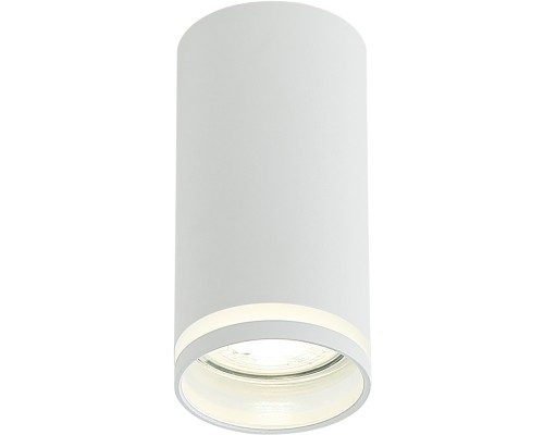 Потолочный светильник ESTELA IL.0005.2000 WH Imex