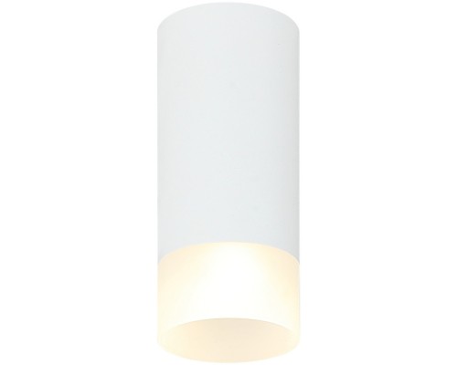 Точечный светильник Leon IL.0005.4800 WH Imex