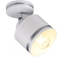 Спот  SP.025-11-80 Imex