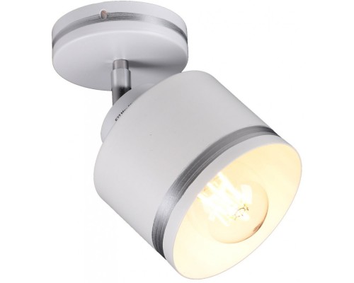 Спот  SP.025-11-80 Imex