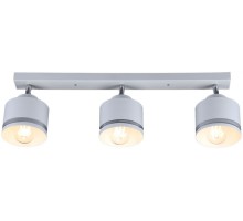 Спот  SP.025-53-80 Imex