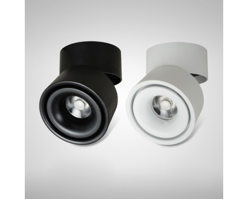 Потолочный светильник  AGENDA01 ImperiumLoft