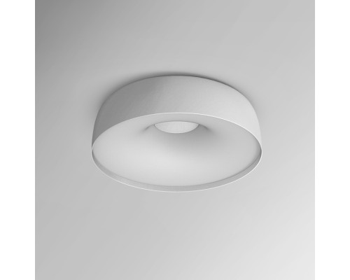 Настенно-потолочный светильник  BRIM01 ImperiumLoft