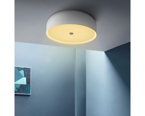 Потолочный светильник  CYLINDER01 ImperiumLoft