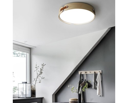 Потолочный светильник  RANGE03 ImperiumLoft