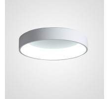 Потолочный светильник  TRAY01 ImperiumLoft