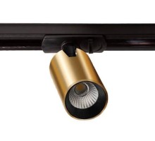 Трековый светильник  TR 3006 gold Italline