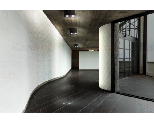 Точечный светильник BORD 22555 Kanlux