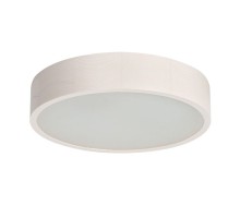 Потолочный светильник Jasmin 23124 Kanlux