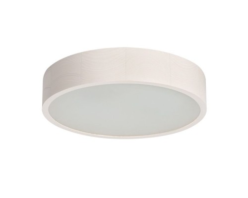 Потолочный светильник Jasmin 23124 Kanlux