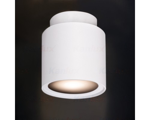 Точечный светильник SONOR 24363 Kanlux