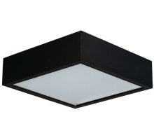 Потолочный светильник MERSA 29051 Kanlux