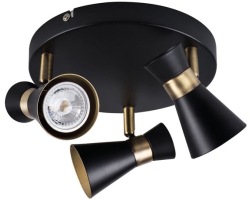 Спот MILENO 29112 Kanlux