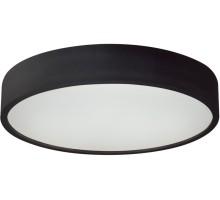 Потолочный светильник JASMIN 29205 Kanlux