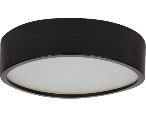 Потолочный светильник JASMIN 29208 Kanlux