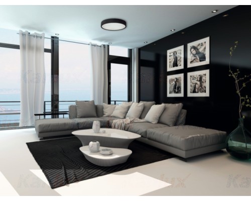 Потолочный светильник JASMIN 29208 Kanlux