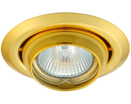 Точечный светильник ARGUS 308 Kanlux
