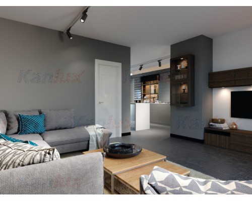 Трековый светильник ACORD 33131 Kanlux