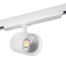 Трековый светильник ACORD 33134 Kanlux