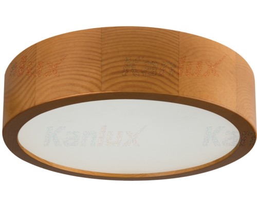 Потолочный светильник JASMIN 36440 Kanlux