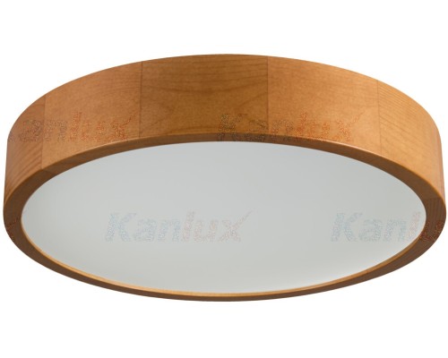 Потолочный светильник JASMIN 36441 Kanlux