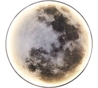 Настенный светильник Спутник 07831-80,19 Kink Light