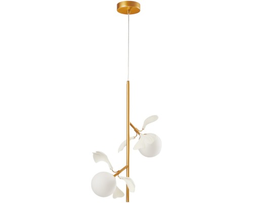 Подвесной светильник Аста 07867-2A,33 Kink Light