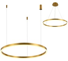 Подвесной светильник Тор 08212,36A(3000K) Kink Light