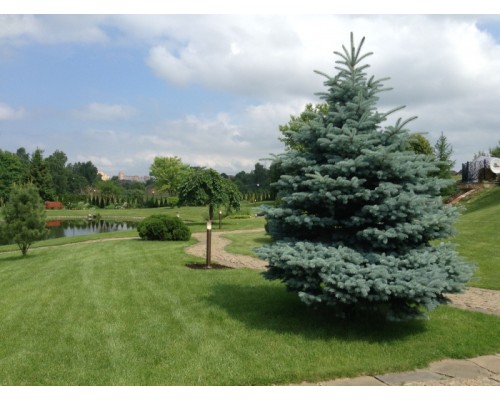 Наземный светильник LD-В LD-B880 LD-Lighting