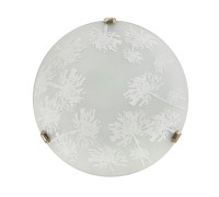 Настенно-потолочный светильник Winter 378/P1 Lampex