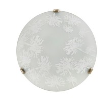 Настенно-потолочный светильник Winter 378/P1 Lampex