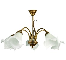 Потолочная люстра Ada 505/5 B+Z Lampex