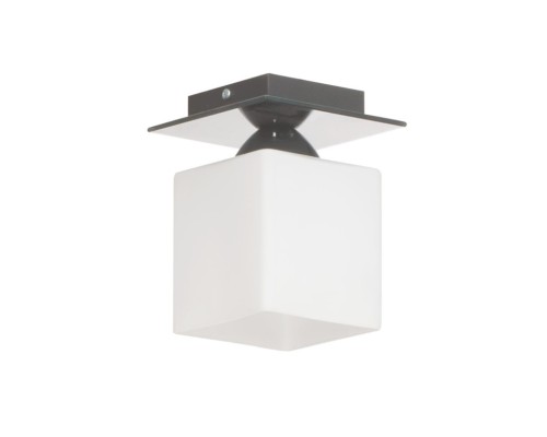 Точечный светильник Floki 559/1 POP Lampex