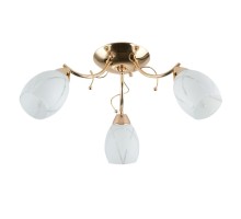 Потолочная люстра Yoko 598/3 Lampex