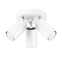 Спот Rolos 655/3A BIA Lampex